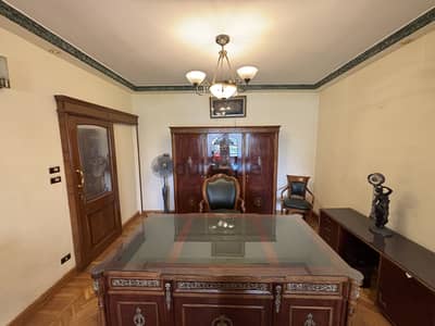 Nile View (partial) Apartment in Dokki