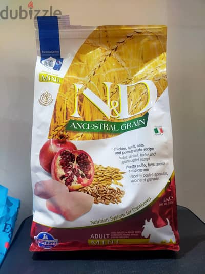 dry food for mini Adult