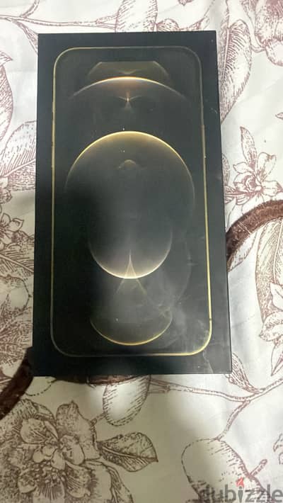 i phone 12 pro max 256