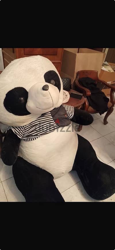 Teddy bear