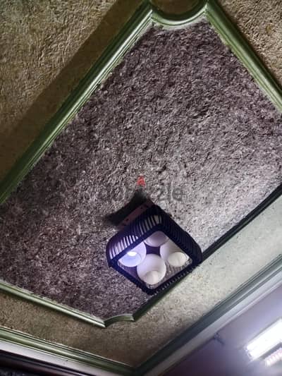 مدينه السلام