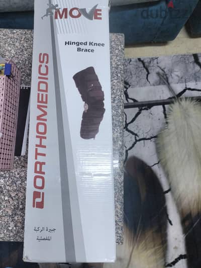 الشيخ زايد