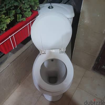 القاهره.  حلمية ازيتون