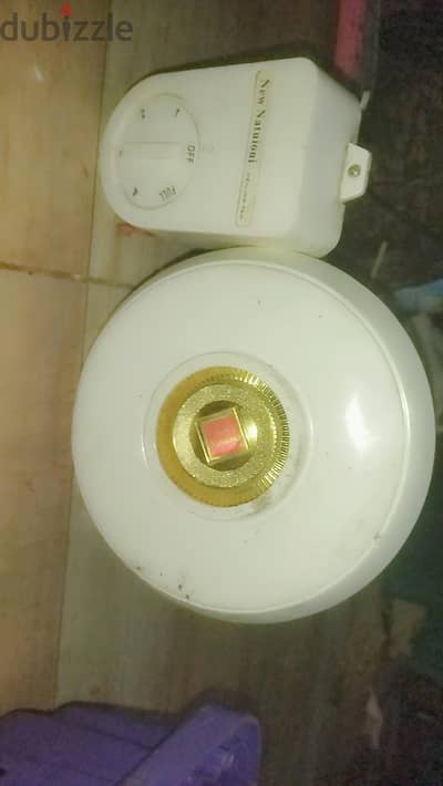 المنيا مضرب الرز