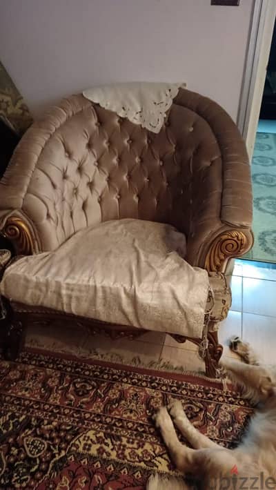 اسكندريه باكوس