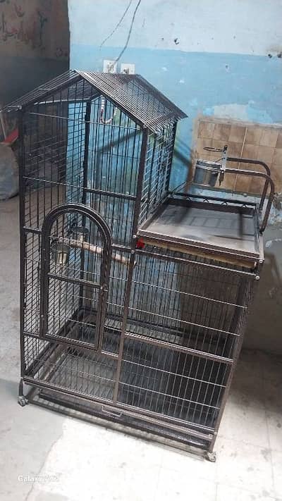 قفص بغبغاء كبير