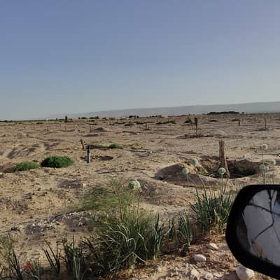مدينه قنا