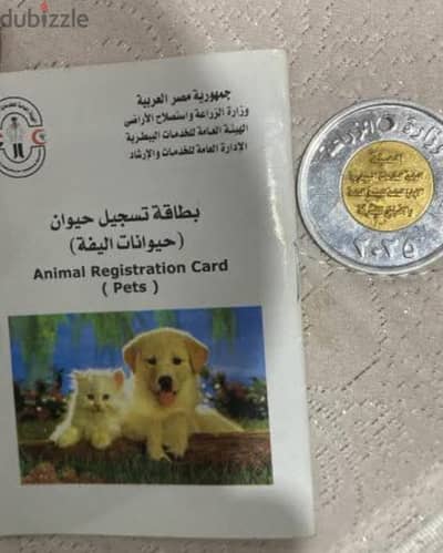 هاسكي سنه ونص