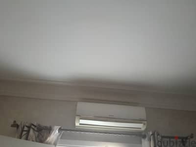 محمود نجيب