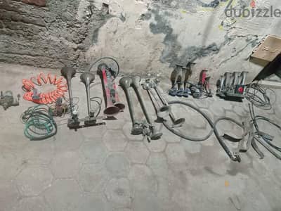 الجيزه طالبيه فيصل