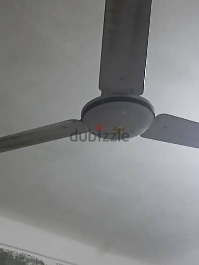 سموحة الجديده