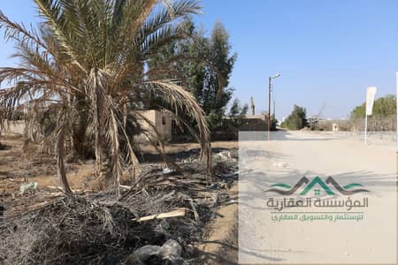 ارض للبيع في الحزام الاخضر بحوض 8 على البوليفارد
