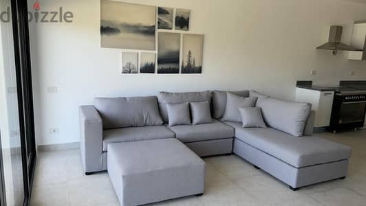 New L shape sofa (Homz mart)