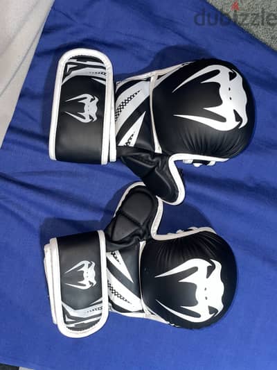 جلافز mma سبارينج