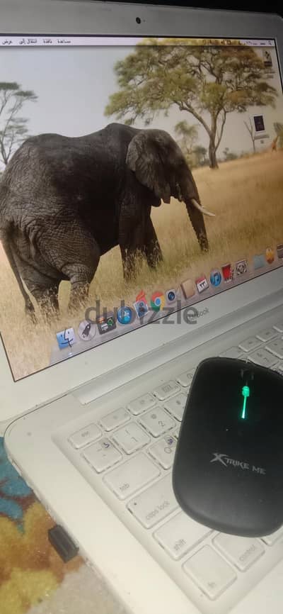 النوبارية