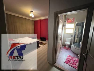 Luxury Furnished Apartment for Rent Near Waterway 220M
