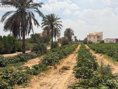 أرض زراعية 102 فدان واجهة مباشرة علي طريق مصر أسكندريه الصحراوي أمام ا