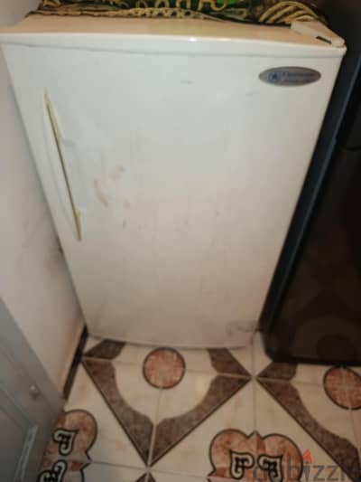 اسيوط _المدينة