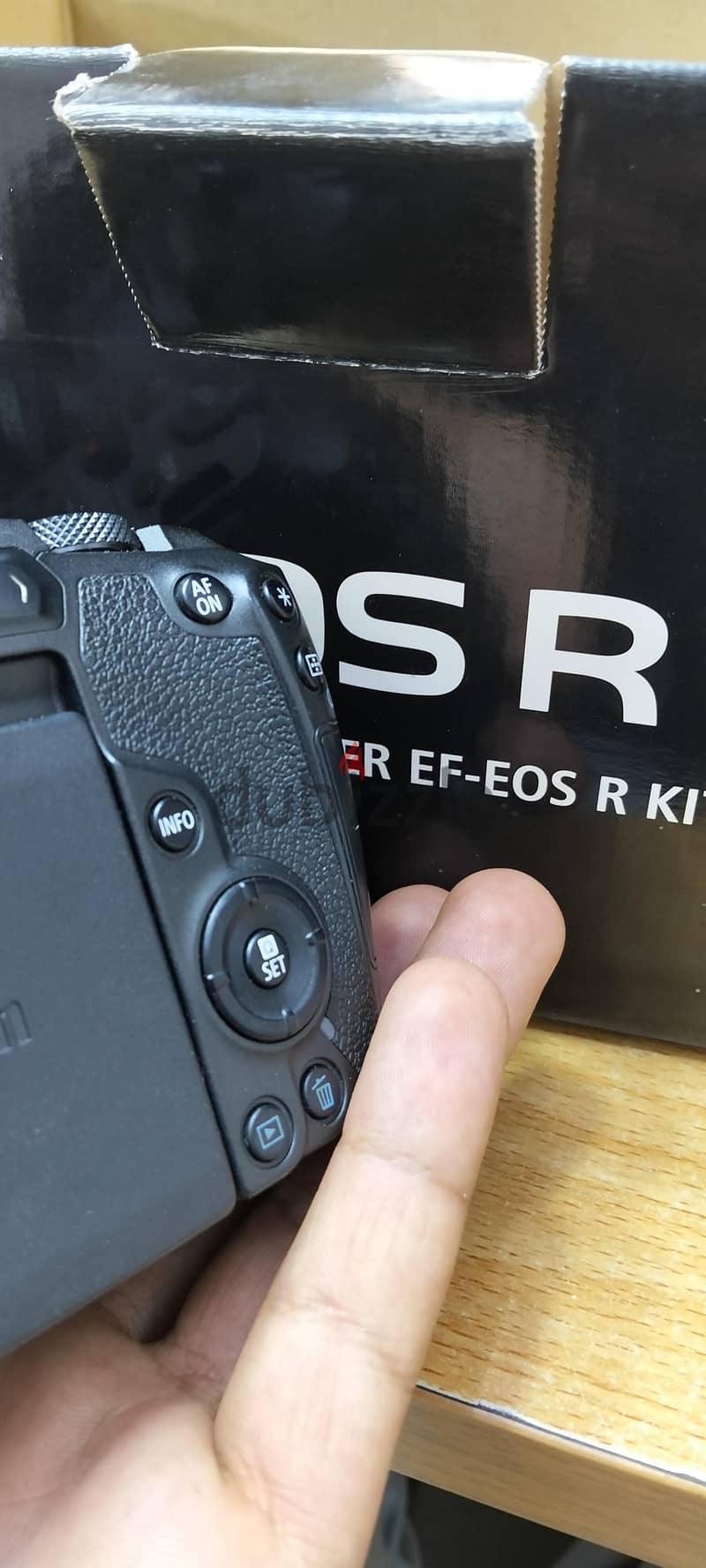 canon R 1