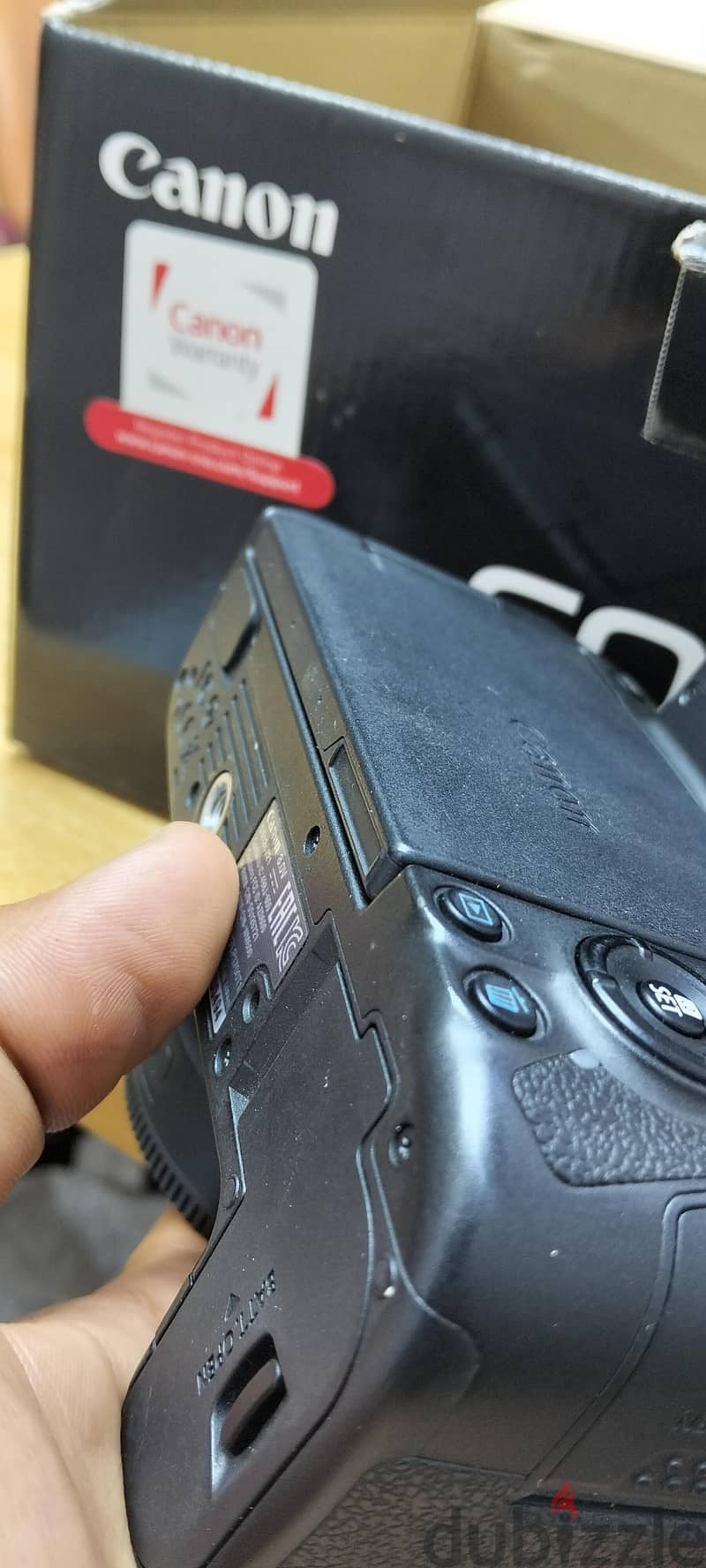 canon R 4
