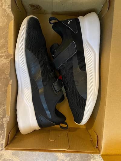 Puma shoes