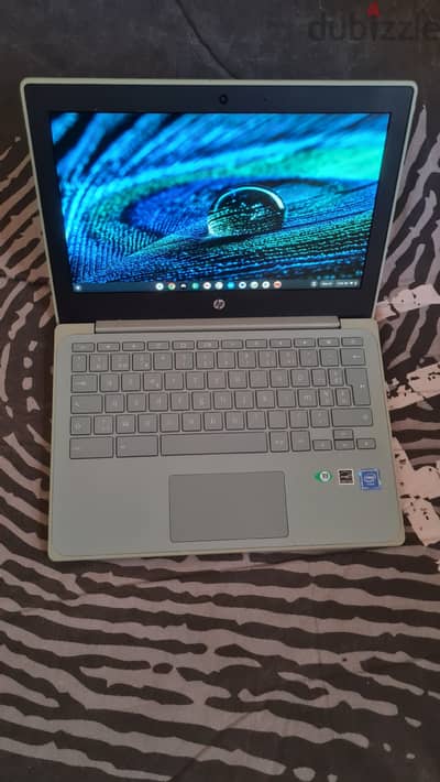 HP Chromebook - كروم بوك اتش. بى