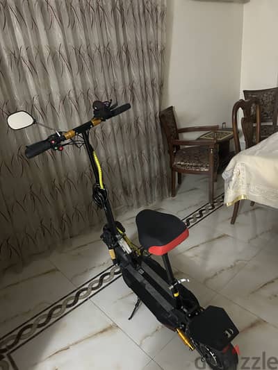 Electric Scooter