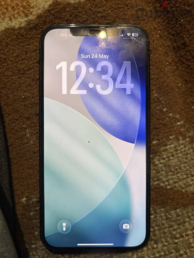 iPhone 12 pro max