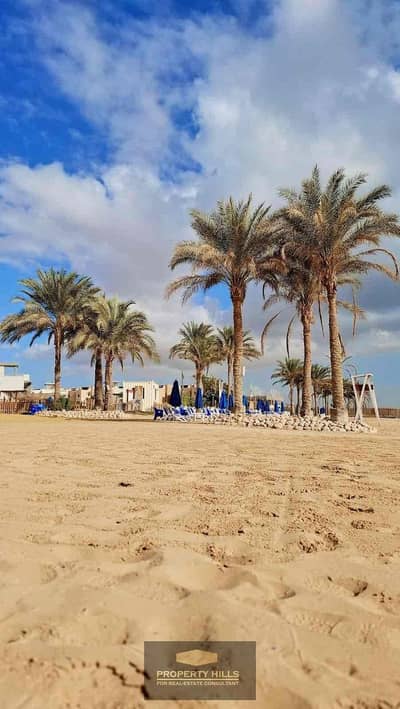 Aromatic Red Valle Phase Lodge Immediately at the Lagoon in رأس الخليج next to Tulip and Laserina