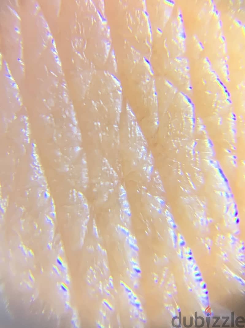 Mini microscope 1