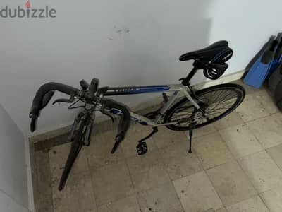 Trinx tempo