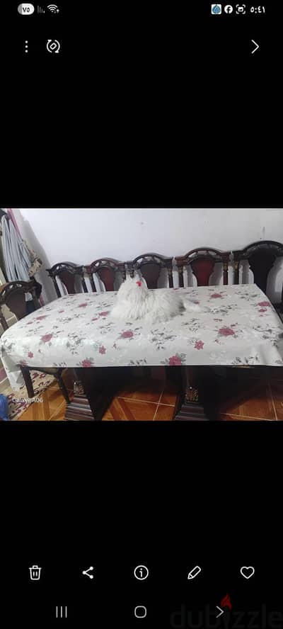 اوضه سفره كامله