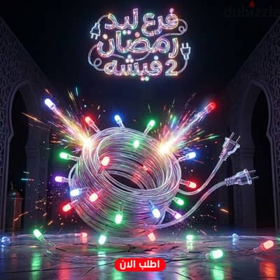 فرع ليد  2 فيشه