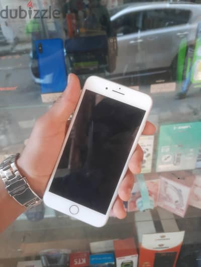 اسكندريه العجمي البيطاش