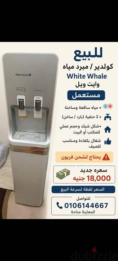 زهراء المعادي