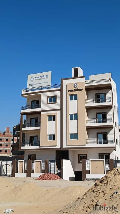 النرجس الجديدة اول نمره علي الدبلوماسيين مباشر
