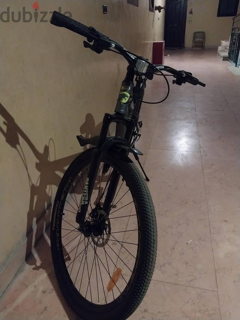pantera bicycle 1