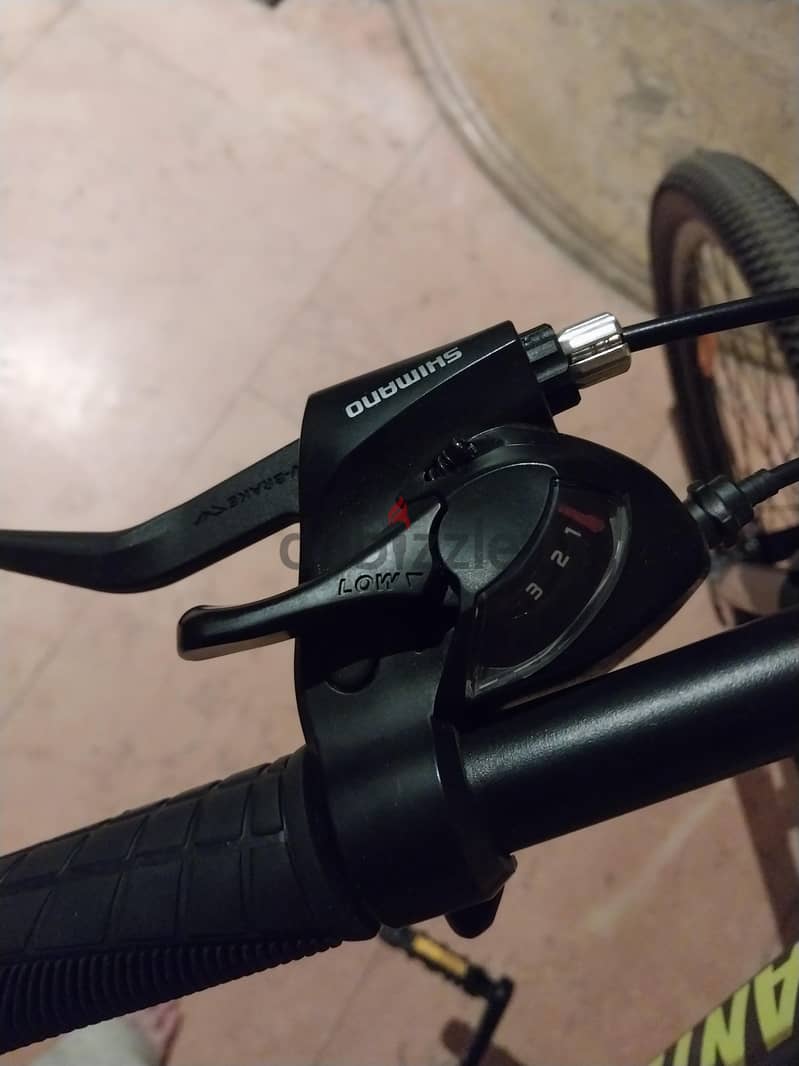 pantera bicycle 2
