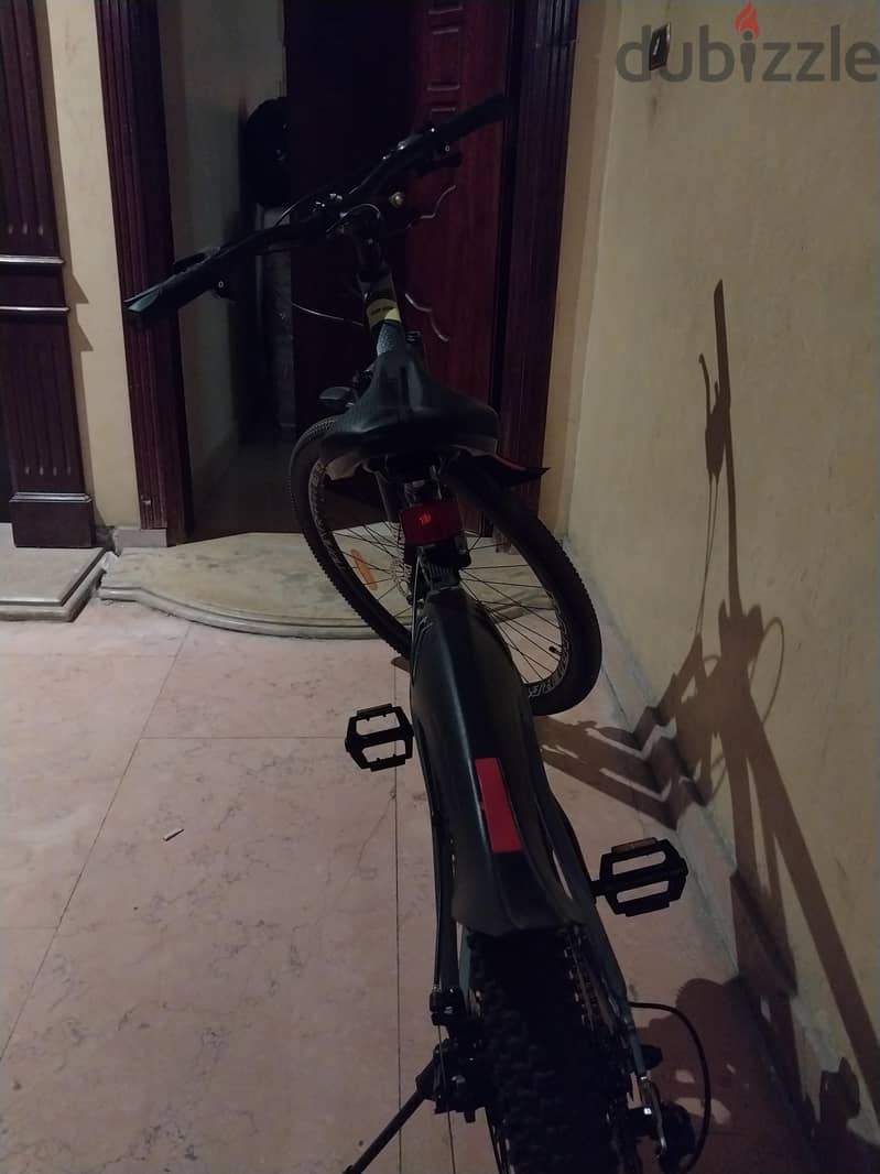 pantera bicycle 3
