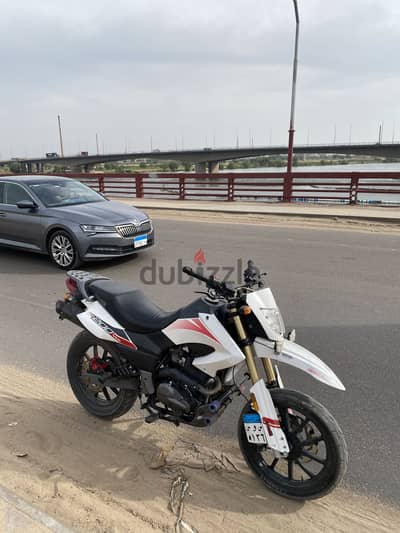 بنيلي vlx