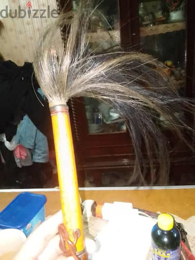 هى حاجه معتقدش عند حد دلوقتى بتاعة الذباب واى حاجه بطير