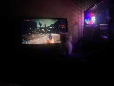 Pc gaming