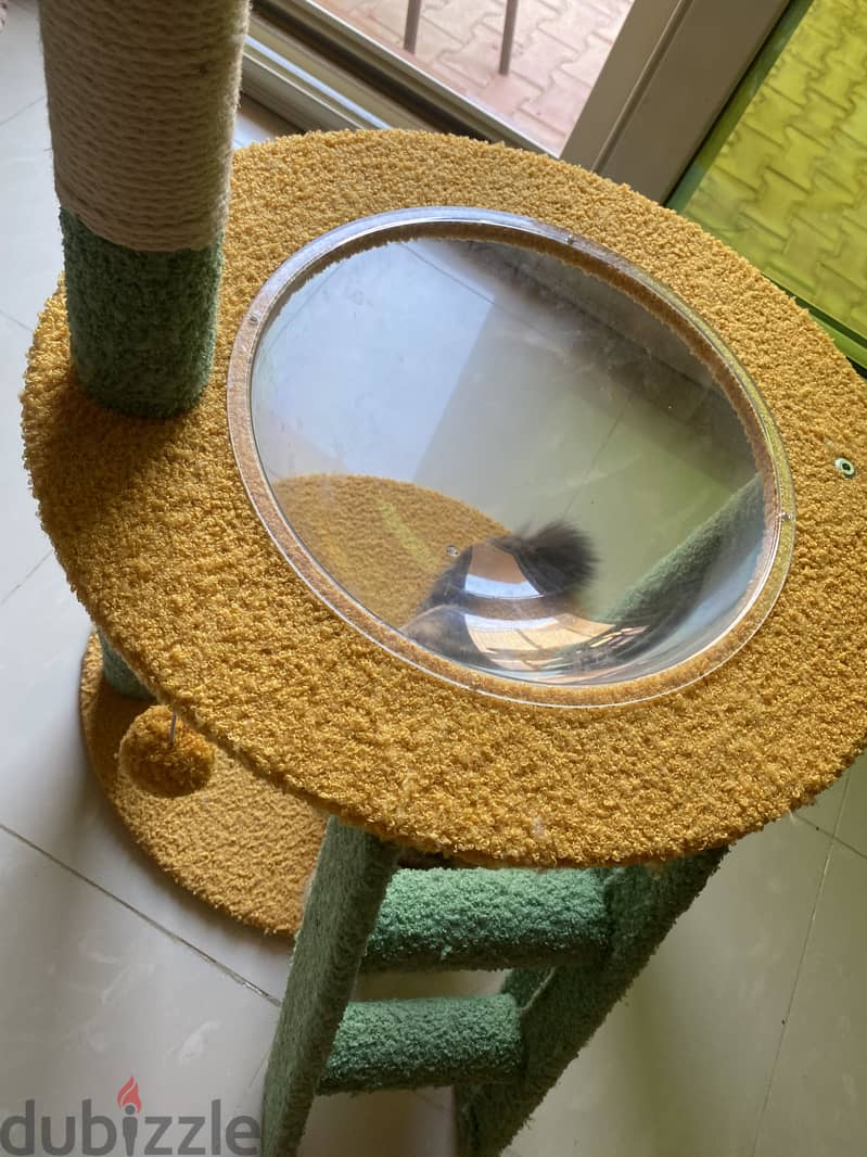Cat tree 1