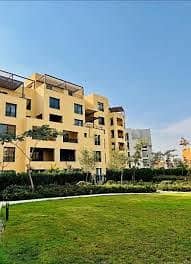 رووف للايجار في تولوا اويست