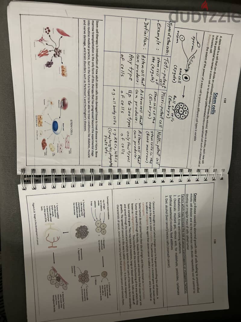 AS level Biology Study Notes 2