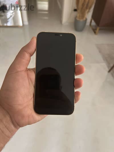 Iphone 12 Pro used