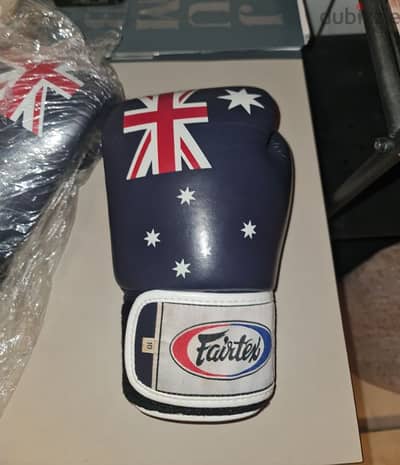 fairtex bgv1
