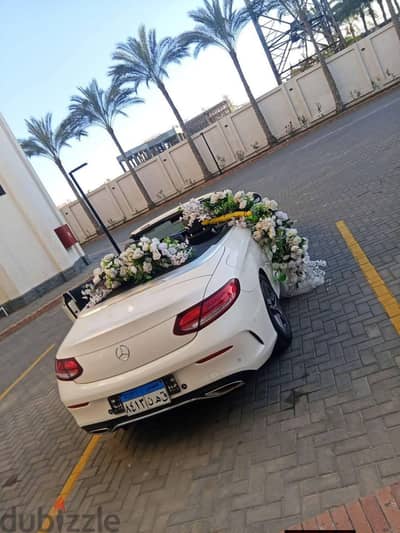 قريه امياى