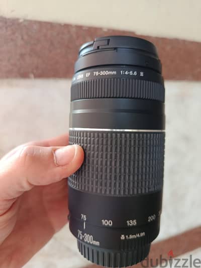 Canon EF 75-300mm f/4-5.6 III