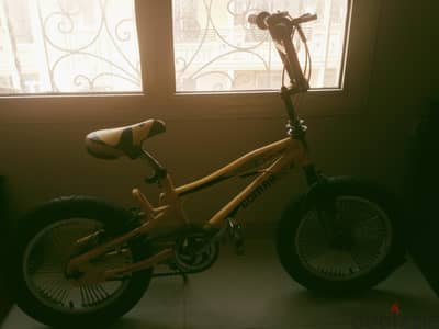 gomaa Jupiter edition